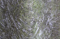 Kings Heath fibreglass roof work